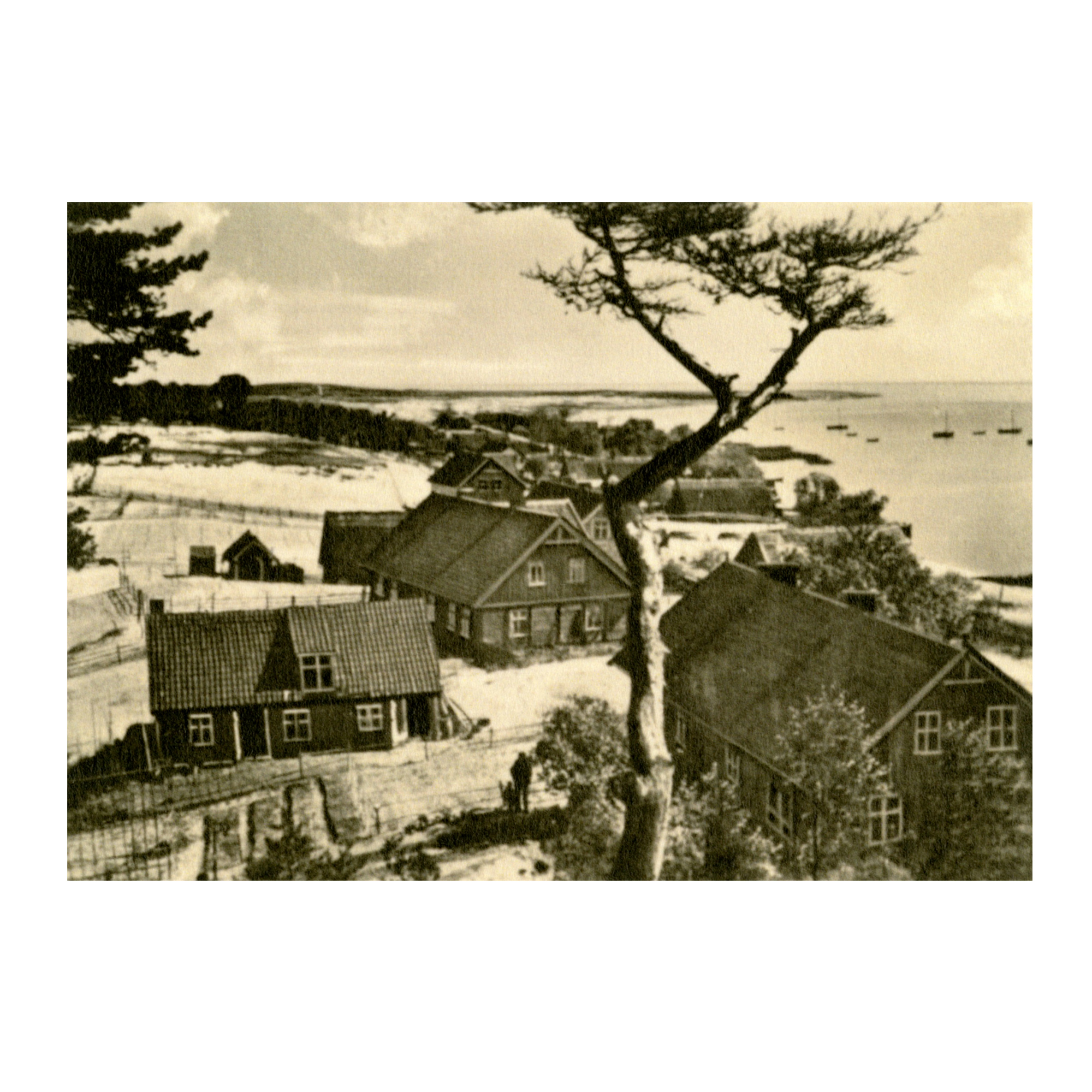NMLA004